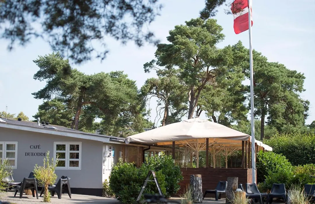 Dueodde Hostel-1